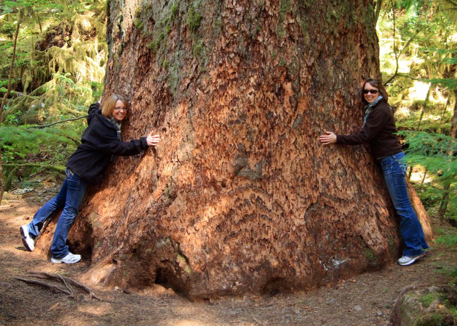 Seattle: Olympic National Park Small-Group Tour - Lunch and Refreshments