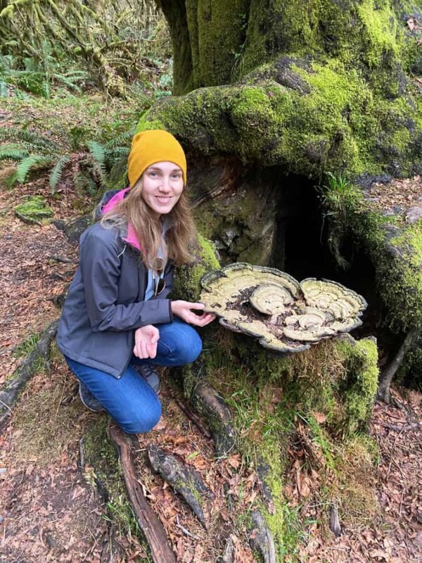 Seattle: Rainforest and Olympic National Park Highlights - Key Points