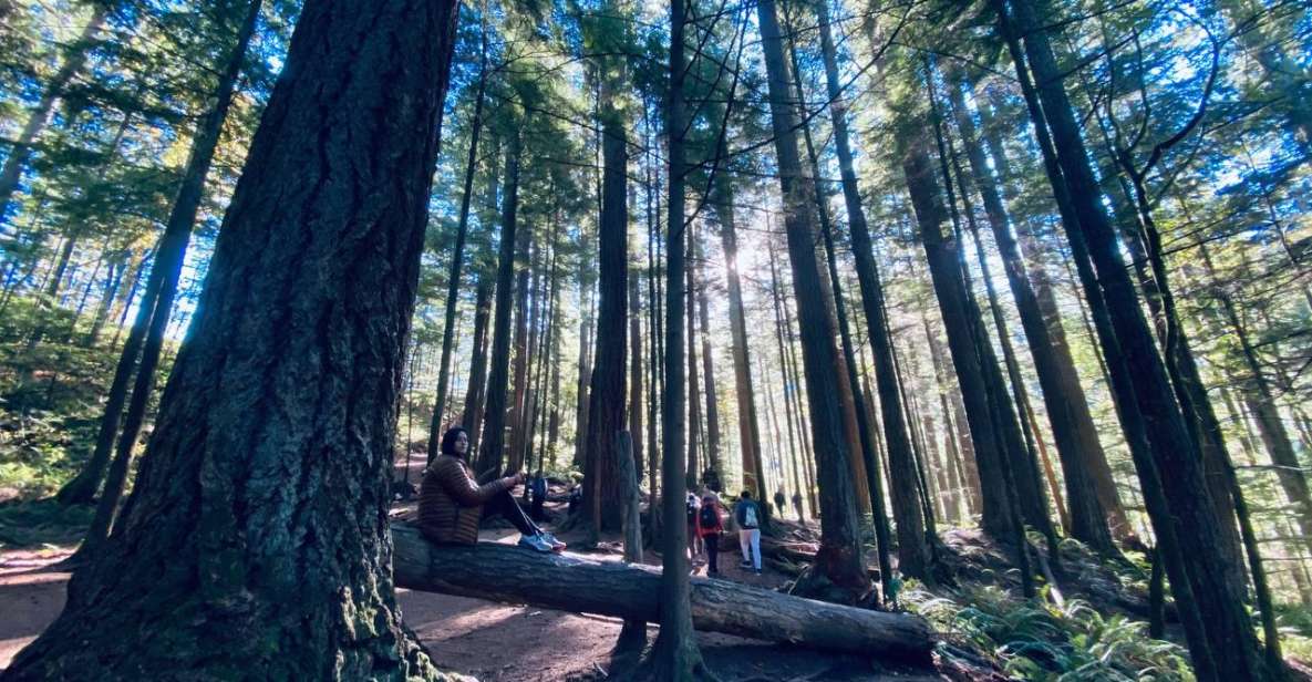 Seattle: Sensory Hike in Twin Fall for Adventurous Families - Group Size and Languages