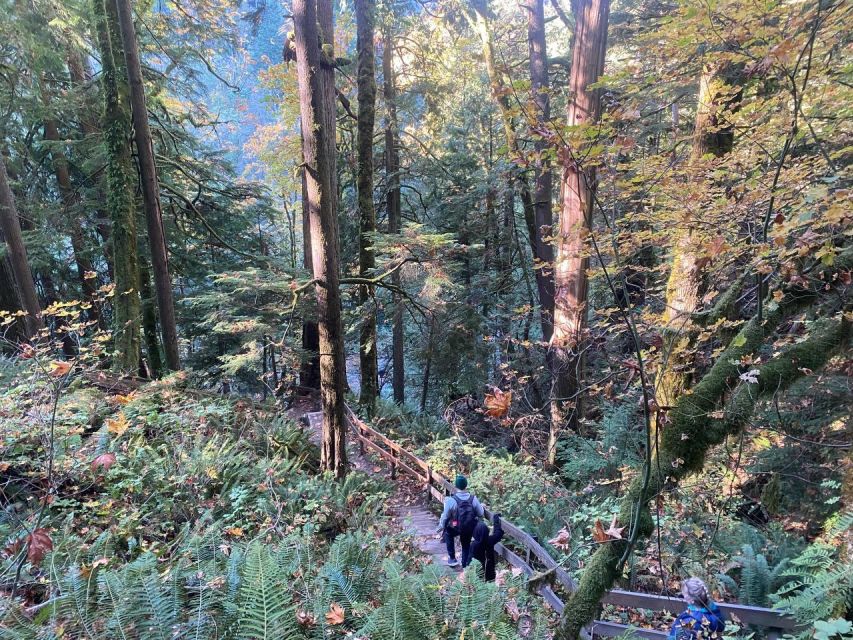 Seattle: Sensory Hike in Twin Fall for Adventurous Families - Frequently Asked Questions