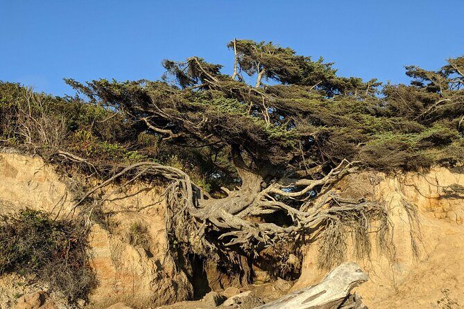 Seattle to Edmonds 4WD Private Tour - Key Points