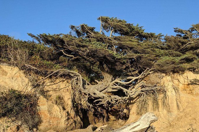 Seattle to Edmonds 4WD Private Tour - Why This Tour Offers Good Value