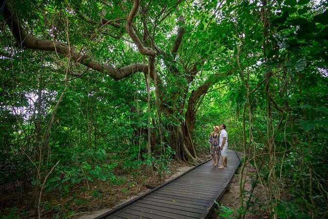 Seawalker Helmet Experience and Green Island Combo from Cairns - Who Should Consider This Tour
