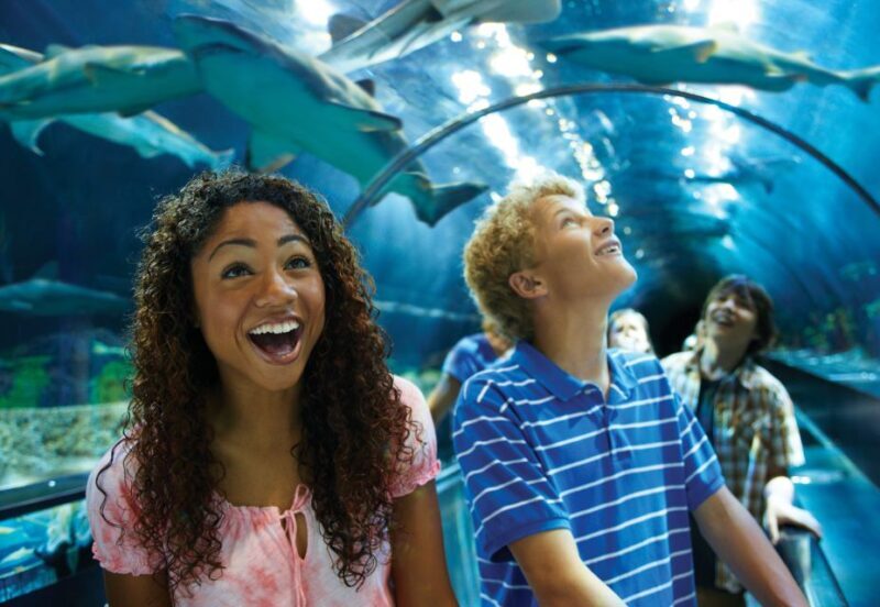 SeaWorld Orlando: Park Admission Ticket - A Comprehensive Look at SeaWorld Orlando: What You Can Expect