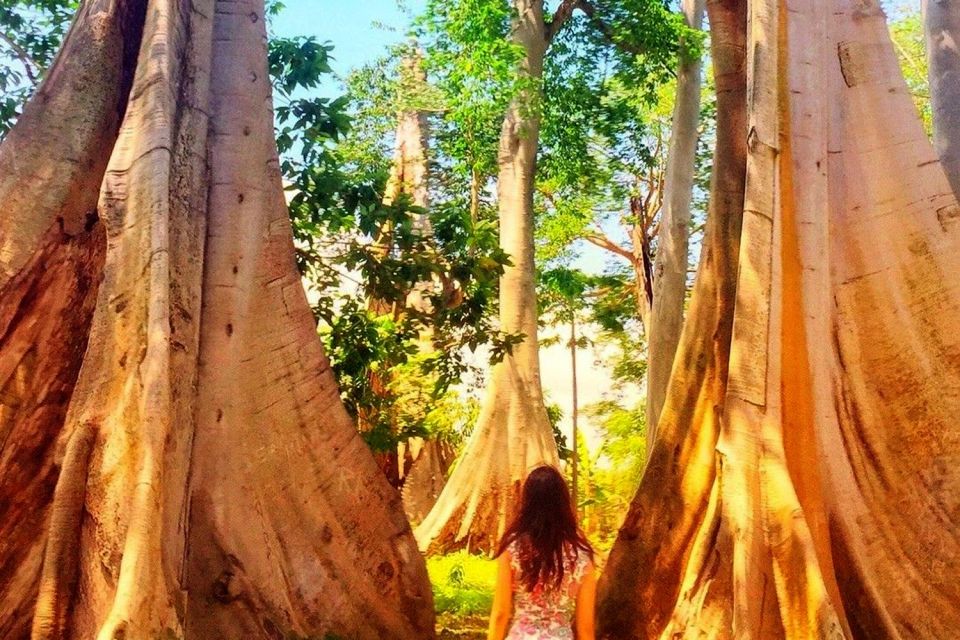 Secluded Gilis Discovery - Key Points