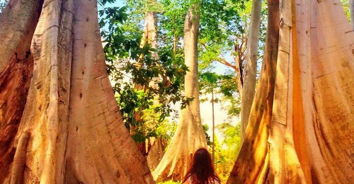 Secluded Gilis Discovery - Detailed Itinerary