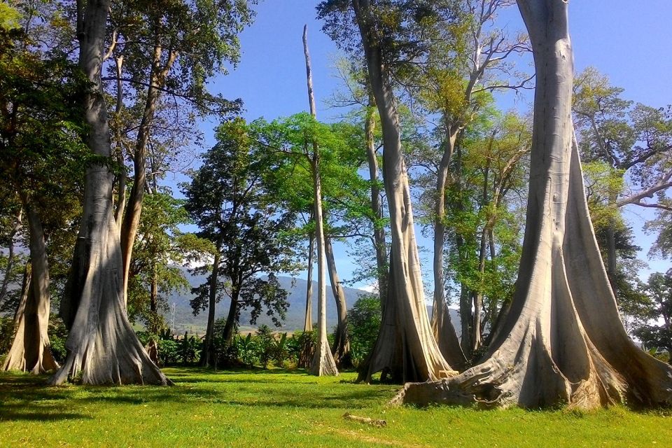 Secluded Gilis Discovery - Preparing for the Tour