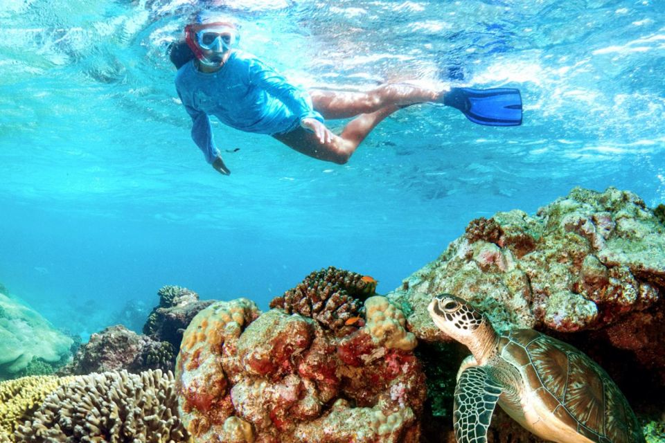 Secluded Gilis Discovery - Transportation and Logistics