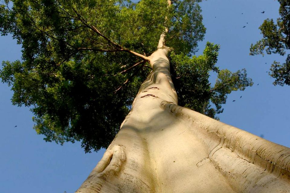 Secluded Gilis Discovery - Frequently Asked Questions