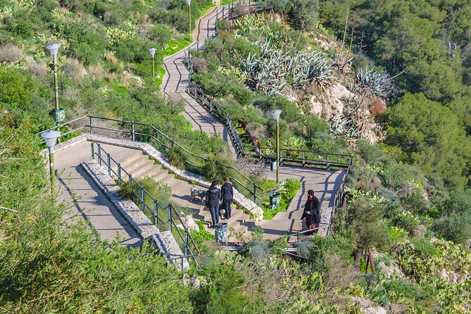 Secret Athens Review: Uncover Hidden Gems - Visiting Acropolis Viewpoints