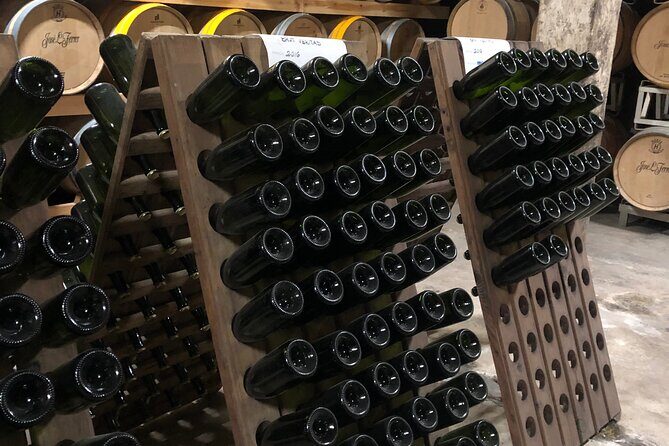 Secret Corners and Tastes of Mallorca by Private SUV Tour - Customization and Extras