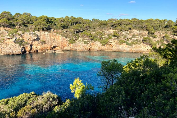 Secret Corners and Tastes of Mallorca by Private SUV Tour - Personalized Private Transportation