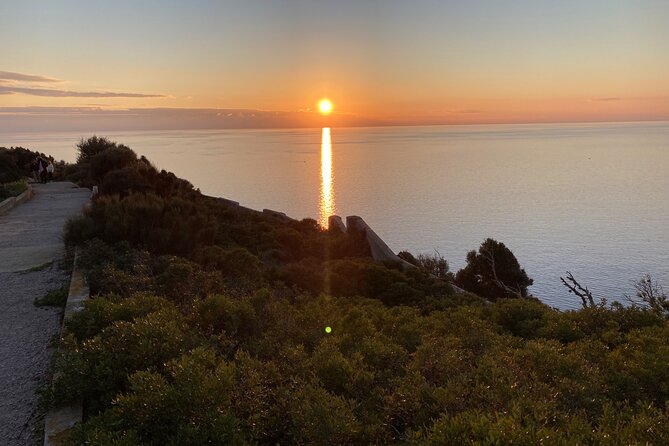 Secret Corners and Tastes of Mallorca by Private SUV Tour - Travelers Raving Reviews