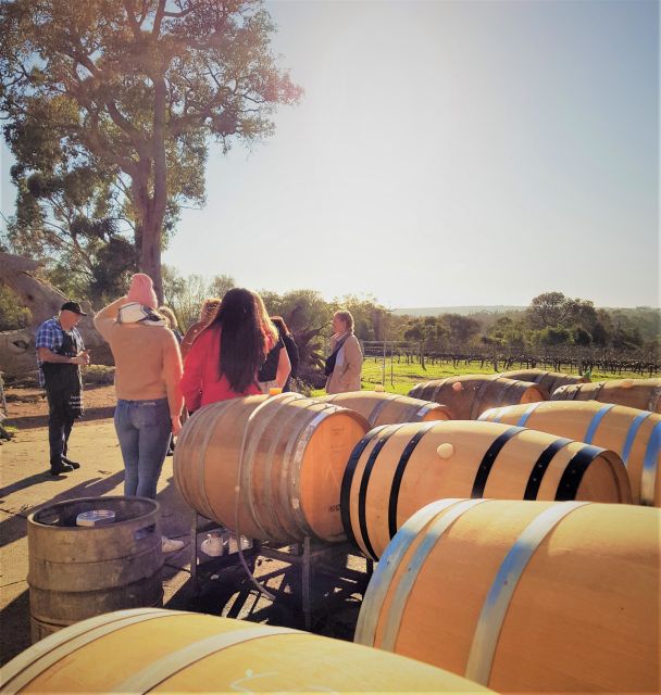 Secret Delights: Wine, Coffee, Artisan and Forest Tour - Tour Highlights
