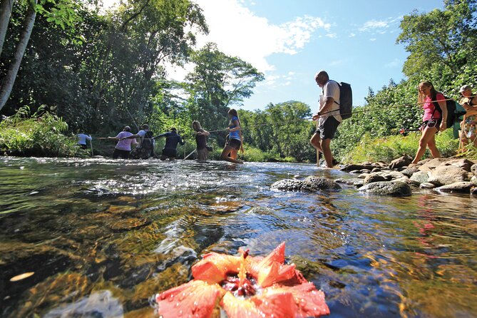 Secret Falls Kayak Hike in Kauai - Additional Info