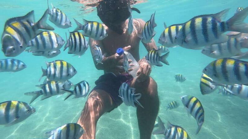 Secret Island Gili Nanggu, Sudak and Kedis Snorkeling tour - A Practical Look at the Tour Experience