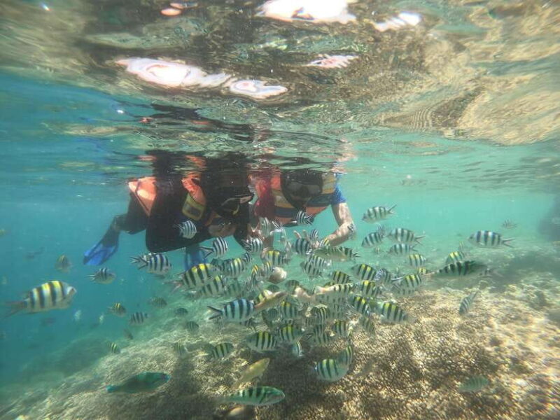 Secret Island Gili Nanggu, Sudak and Kedis Snorkeling tour - Who Will Love This Tour?
