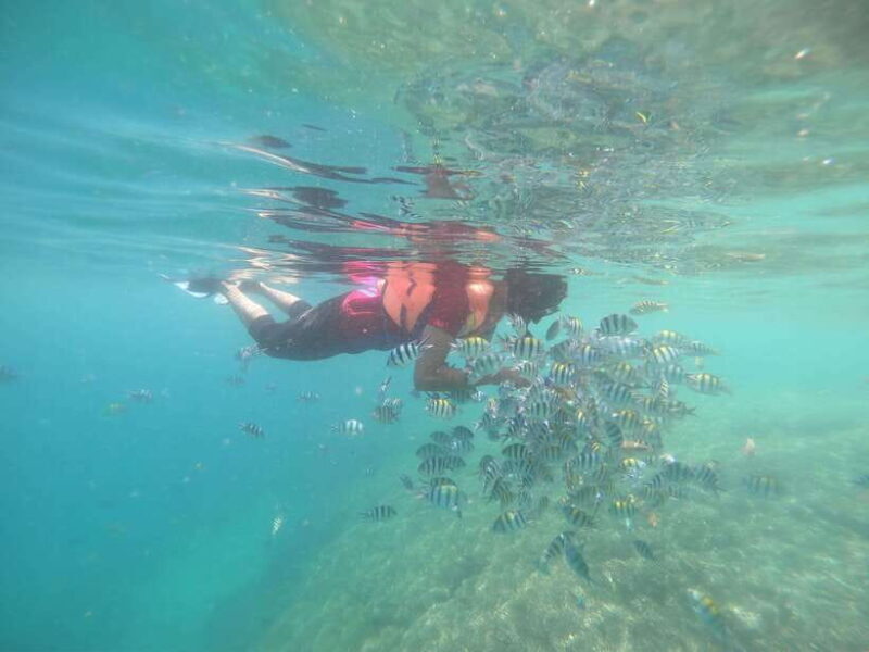 Secret Island Gili Nanggu, Sudak and Kedis Snorkeling tour - FAQs