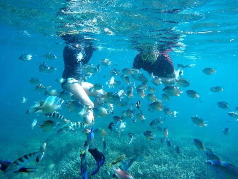 Secret Island Gili Nanggu, Sudak and Kedis Snorkeling tour - Final Thoughts