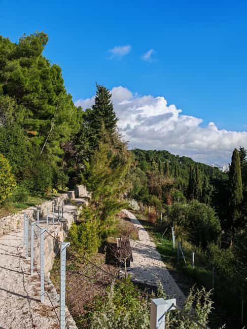 Secret Marjan Park Hiking Tour in Split - A Detailed Look at What to Expect