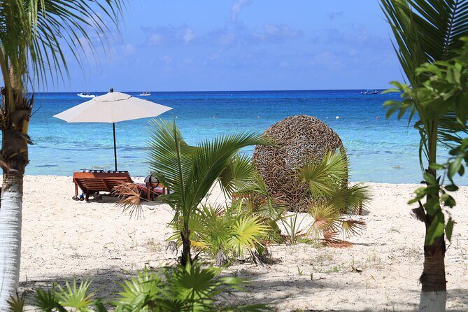 Secret Palancar Beach Experience - The Sum Up