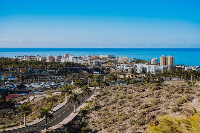 Secret Volcano Tour by Tuk Tuk in Costa Adeje - Practical Tips for Booking and Enjoying