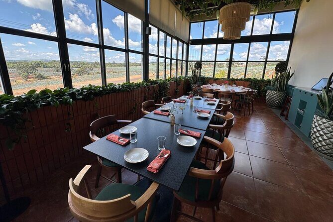 Secrets in Los Altos del Tequila - Arandas: Blue Agave and Vibrant City Life