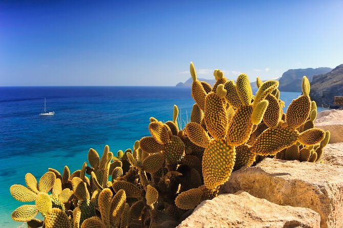 Secrets of Ibiza - Car Tour in 8 Hours - Immerse in Local Culture