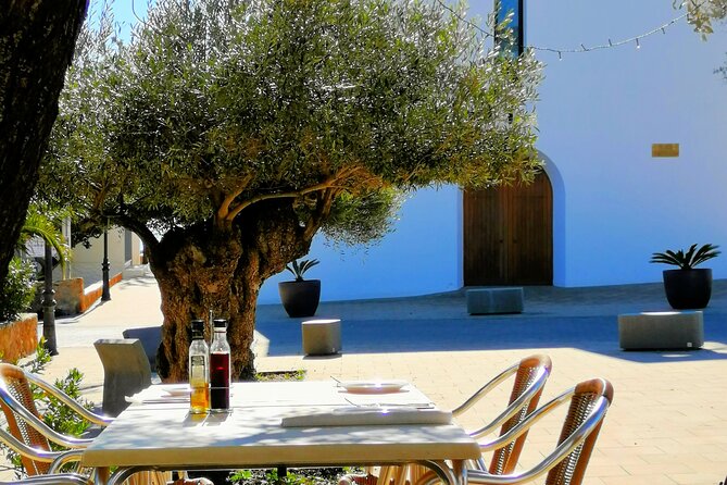 Secrets of Ibiza - Car Tour in 8 Hours - Customizable Experiences