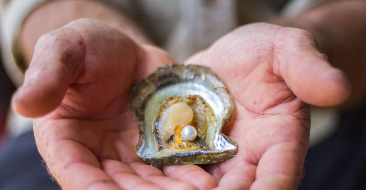 Secrets of Pearling at Broken Bay - Land-Based Pearl Farm Experience