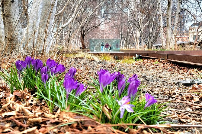 Secrets of the High Line - The High Lines Architectural Marvels