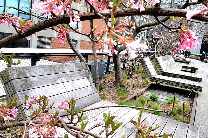 Secrets of the High Line - The High Lines Sustainability Efforts