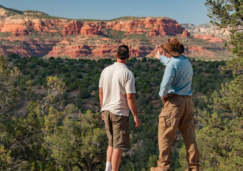 Sedona: Diamondback Gulch Pink Jeep Tour - Key Points