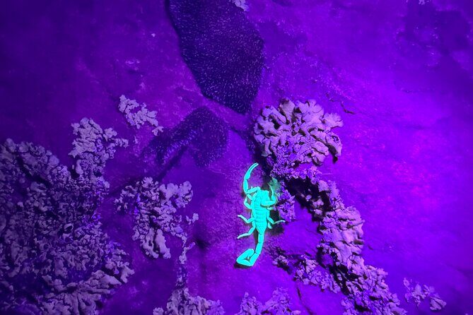 Sedona Night Hike and Stargazing - How the Tour Adds Value