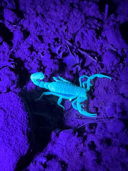 Sedona Night Hike and Stargazing Tour - Practical Details: What’s Included and What Not