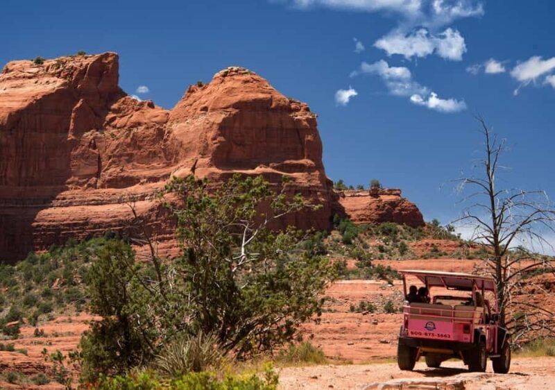 Sedona: Scenic Rim Pink Jeep Tour - Safety and Accessibility