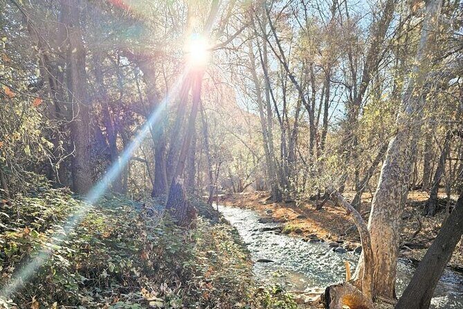 Sedona Sightseeing Tour - An In-Depth Look at the Sedona Sightseeing Tour