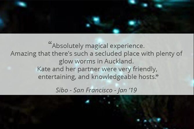 See Auckland's Secret Glow Worms - The Reviews Speak for Themselves