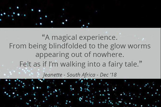 See Auckland's Secret Glow Worms - Final Thoughts: Who Will Love This Tour?