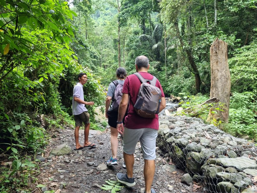 See The Stunning View Of Selong Hill and Tiu Kelep Waterfall - Selong Hill