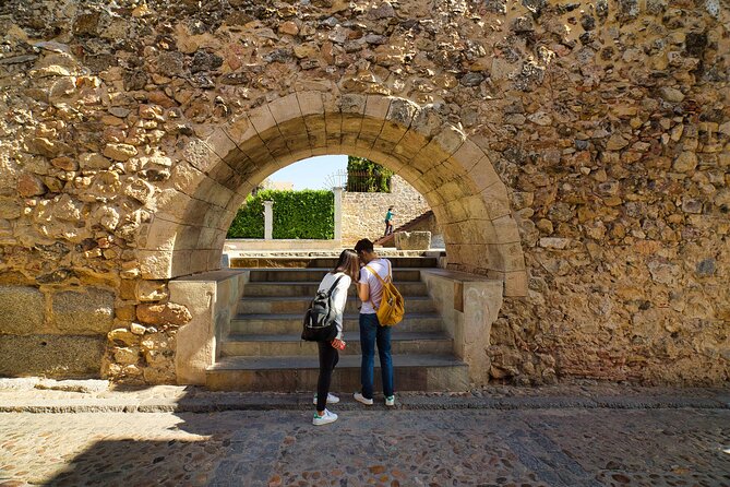 Segovia & Avila Day Trip From Madrid With Monuments Admission - Marveling Segovias Roman Aqueduct