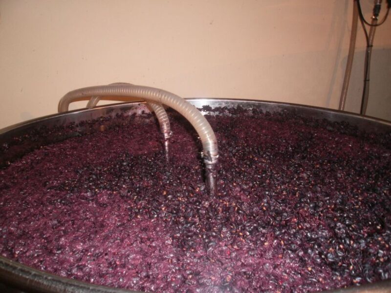 Segovia: Winery Tour With Wine Tasting - Good To Know