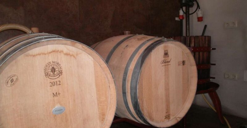 Segovia: Winery Tour With Wine Tasting - Itinerary Details