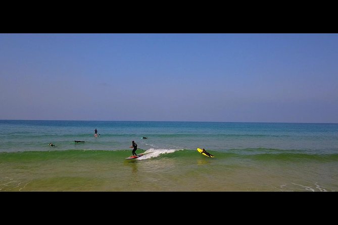 Segway Surf and Oysters! - Delightful Oyster Tasting