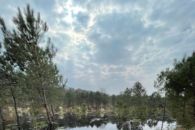 Seignosse Electric Scooter Excursion - Pricing and Payment Options