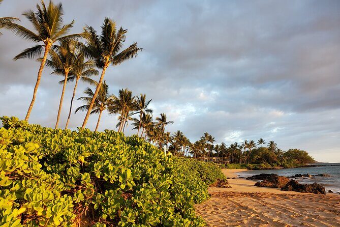 Self Discovery Session through Numerology & Intuitive Guidance - Authentic Perspectives from Participants