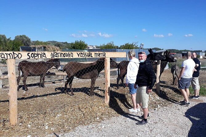 Self drive 4x4 Jeep Safari - Pick ups in the North - FAQ