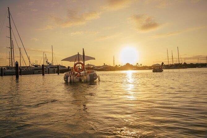 Self Drive BBQ eBoat Cruise with Onboard BBQ Denarau Fiji - The Sum Up