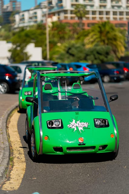 Self-drive Guided Tour | Explore Funchal on an Electric Car - Who Should Consider This Tour?