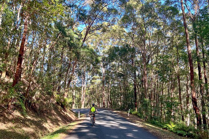 Self Guide E Bike Tour - Husk Distillery, Rainforest & Rail Trail - Frequently Asked Questions